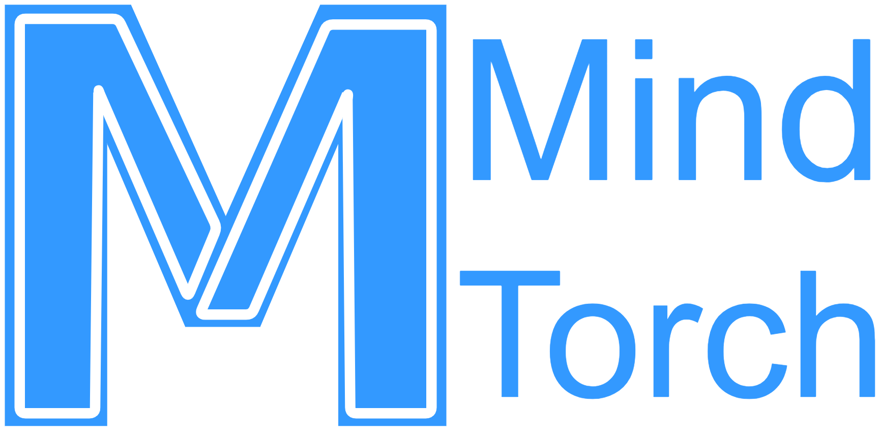_images/MindTorch_LOGO.png